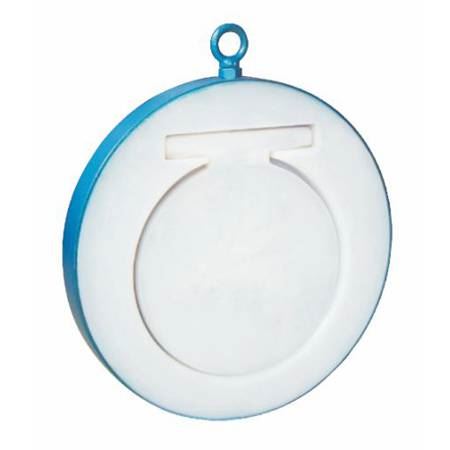 Swing Check Valve Raymond Fluorine-Lined H74F46-16C