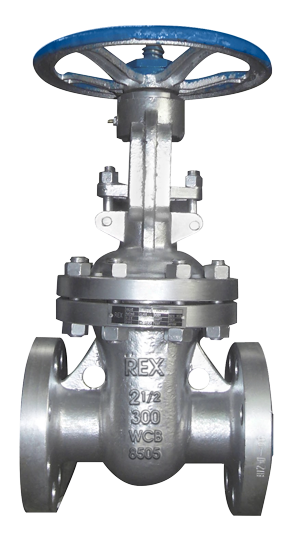 Van cổng thép, A216 WCB, 800LBS